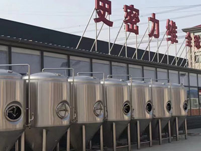 鹤城精酿啤酒设备厂—如何判断精酿啤酒设备的密封件需要更换？